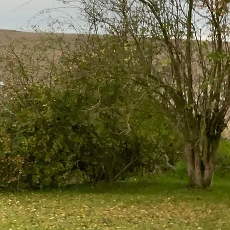 דירה Fischerhuette Iv Mobilheim *